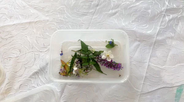Tupperware container full of mixed small flowers 